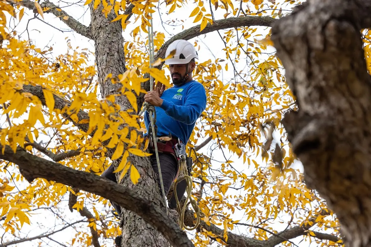 Skilled Storm Damage Cleanup crew working in Cherokee